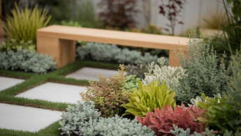 Aménagement de jardin : concilier esthétique et fonctionnalité avec peu de moyens